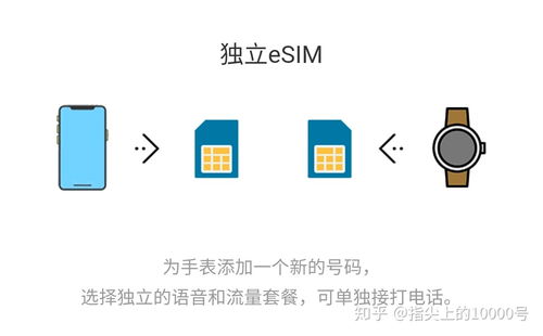 電信攜號轉(zhuǎn)網(wǎng)業(yè)務(wù) 暢享自由選擇，體驗便捷服務(wù)