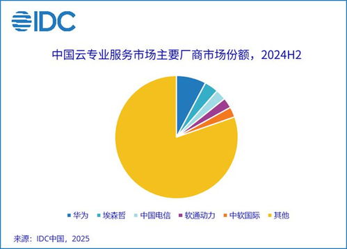 2024下半年中國云專業(yè)與管理服務市場 整體收入235.6億元，企業(yè)管理服務驅動11.2%增長